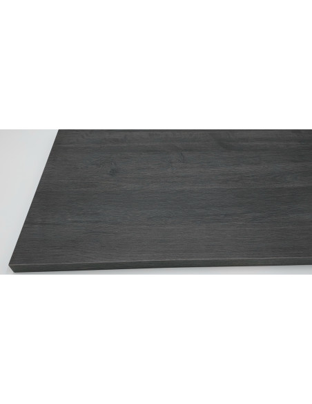 Mesa de oficina MODERNA CON ALA