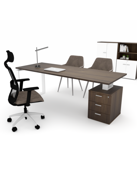 Mesa de oficina con CAJONERA