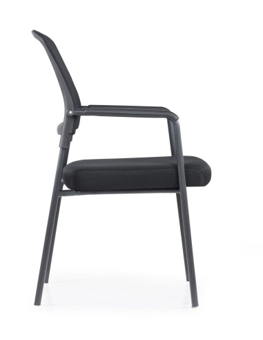 Silla confidente, NAMERI