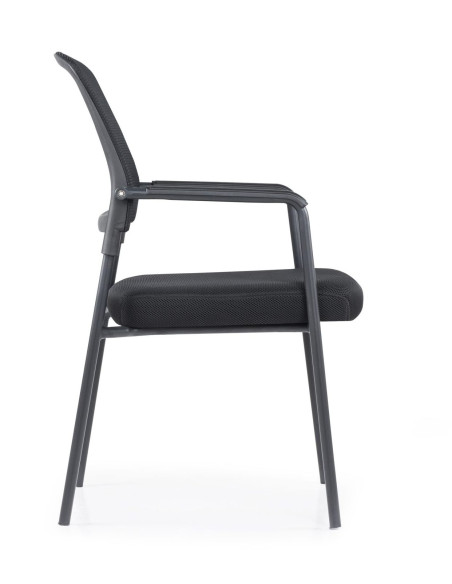 Silla confidente, NAMERI