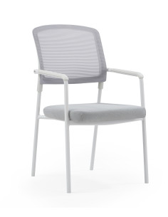 Silla confidente, NAMERI