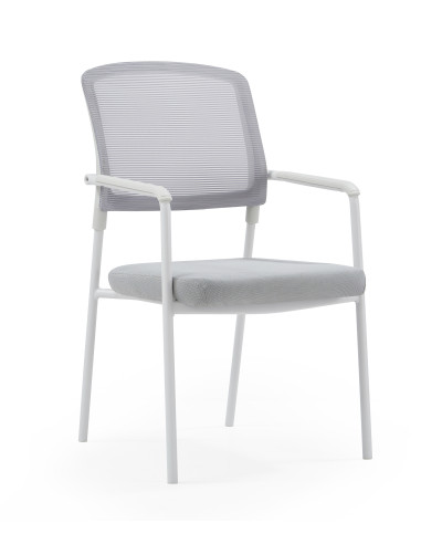 Silla confidente, NAMERI