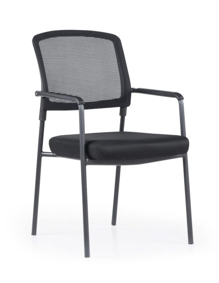 Silla confidente, NAMERI