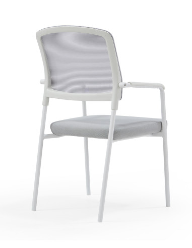 Silla confidente, NAMERI