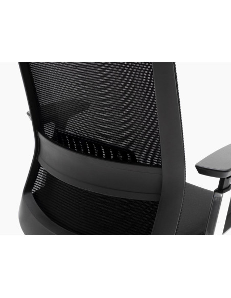 Silla giratoria de dirección, cabezal, TORANA