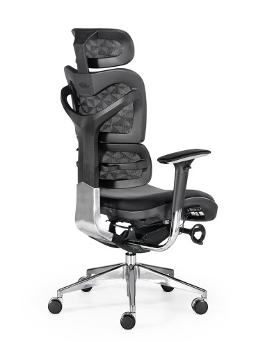 Sillón de dirección, soporte lumbar...